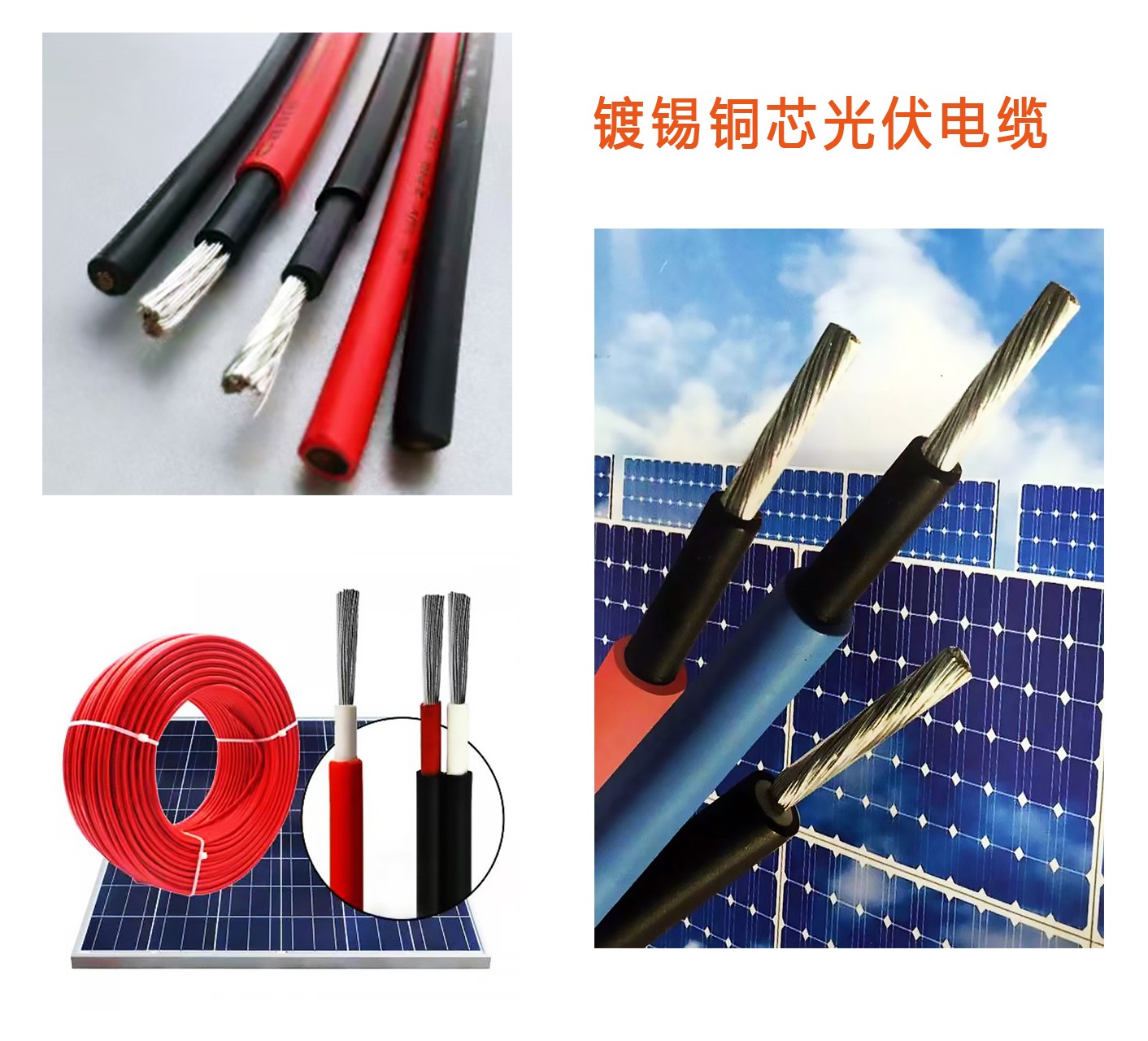 图片 4.jpg